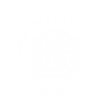 Hampshire and Isle of Wight Constabulary full inscription and crest